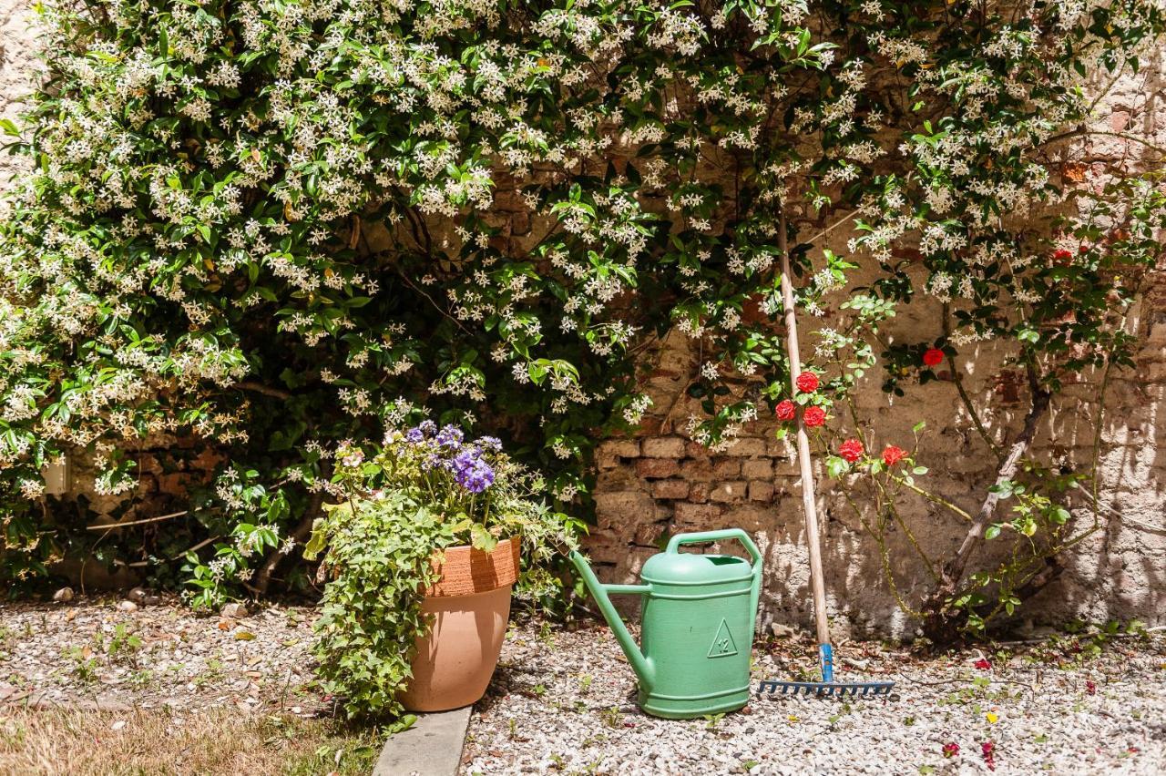 Appartement Hostly - Garden House Near The Tower - Historical House With Private Garden à Pise Extérieur photo